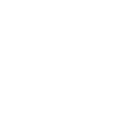 Security & Safety Consultants